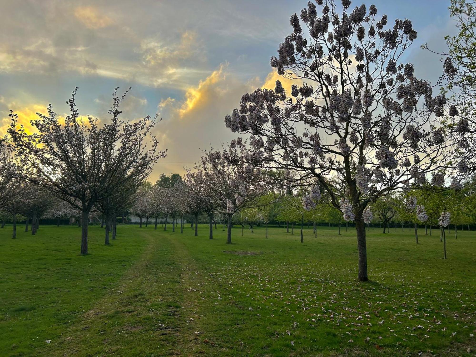 Aux Jardins Fleuris